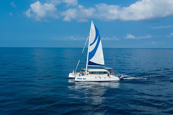 Afternoon Sail & Snorkel to the Captain Cook Monument - Kealakekua Bay Marine Preserve: Fish, Calm Water, and Rules That Protect It