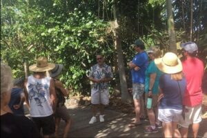 Award Winning Farm Tour: Coffee, Chocolate and Unique Gifts - Kona Coffee Tastings: What You’ll Actually Learn and Taste