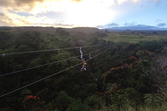 Big Island: 8-Zipline & Suspension Bridge Waterfall Adventure - The 8-Line Zip Course: What It Feels Like in Real Time
