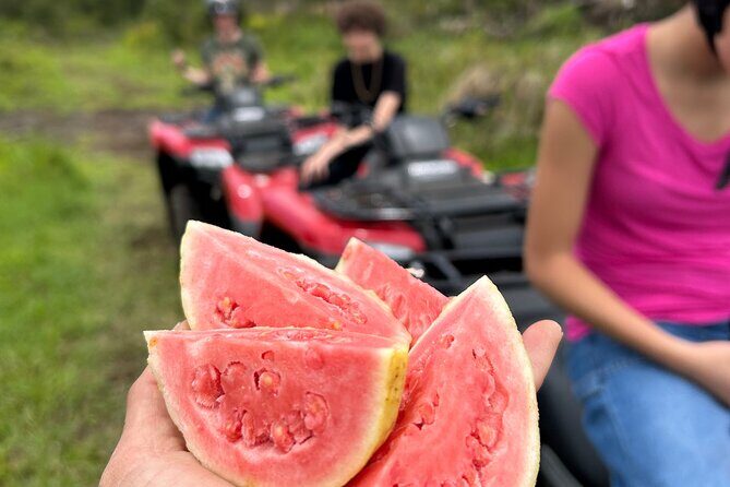 Big Island ATV Tour at Ohana Ranch - Key highlights at Ohana Ranch ATV Tour (Big Island)