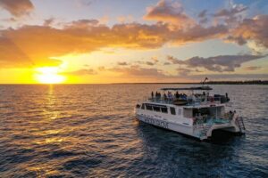 Big Island Historical Dinner Cruise to Kealakekua Bay - Kealakekua Bay and Captain Cook’s monument: what the boat shows you
