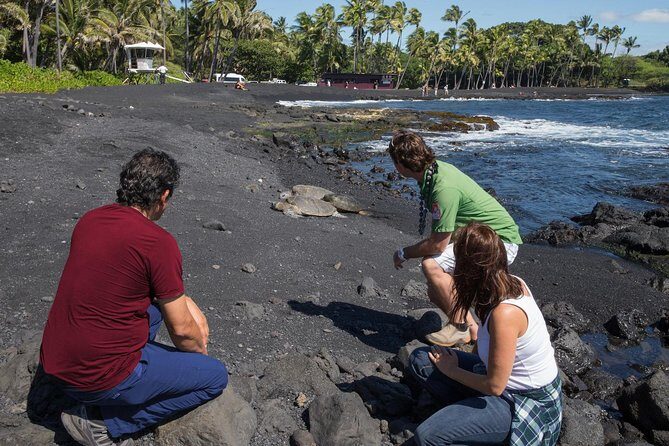 Big Island in a Day: Volcanoes Waterfalls Sightseeing and History - South Kona and the Kealakekua Bay story: Captain Cook’s ending point