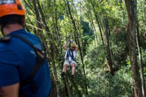Big Island Kohala Canopy Zipline Adventure - The Kohala Course: Ziplines, Suspension Bridges, and Speed Control