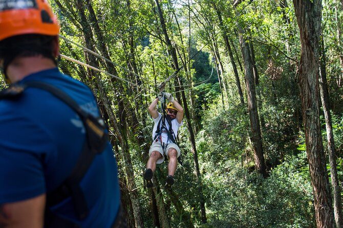 Big Island Kohala Canopy Zipline Adventure - The Kohala Course: Ziplines, Suspension Bridges, and Speed Control