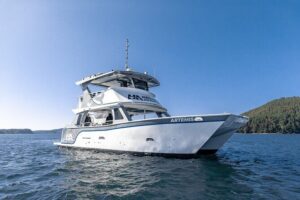 Big Island: Pelagic Whale Watch Tour - Pelagic reach: why the offshore option boosts your odds