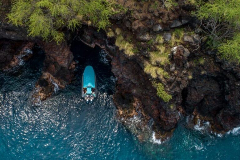 Big Island: South Kona Snorkeling and Coastline Exploration - Stop 1: Kealakekua Bay’s 315-Acre Sanctuary Reef (and What to Look For)