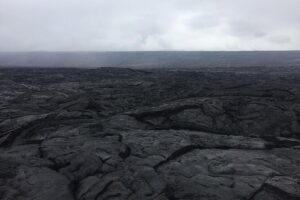 Big Island Volcano Adventure from Kona: Small Group - Highway 19, Waimea, and the Hamakua Coast: Ocean Carving and Jungle Roads