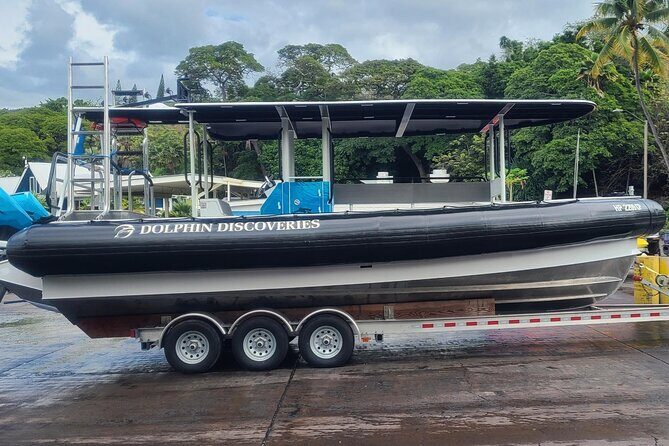 Captain Cook Snorkel Tour with Sea Caves and Lava Tubes - Kealakekua Bay snorkeling: the whole point and the real payoff