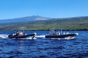 Captain Cook Snorkel Tour with Sea Caves and Lava Tubes - Sea caves and lava tubes by boat: how you actually experience the coastline