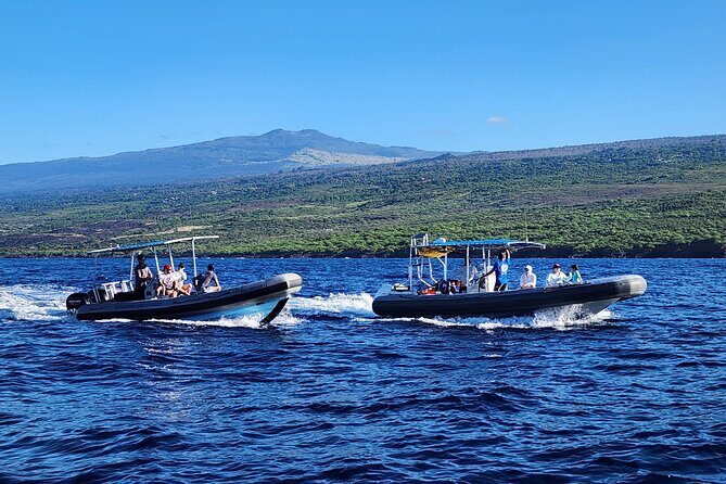 Captain Cook Snorkel Tour with Sea Caves and Lava Tubes - Sea caves and lava tubes by boat: how you actually experience the coastline