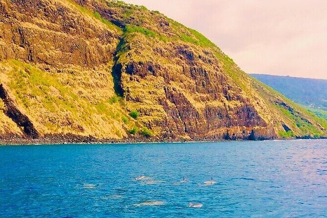 Dolphin, Sea Cave & Captain Cook Snorkel Combo in Kealakekua Bay - Stop 2 in Keauhou: same snorkel, same cave route, different start
