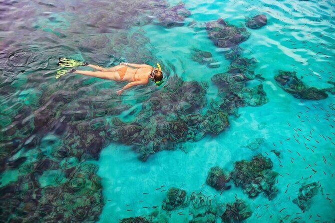 Dolphin, Sea Cave & Captain Cook Snorkel Combo in Kealakekua Bay - Stop 1 near Kona: Captain Cook Monument + sea cave country