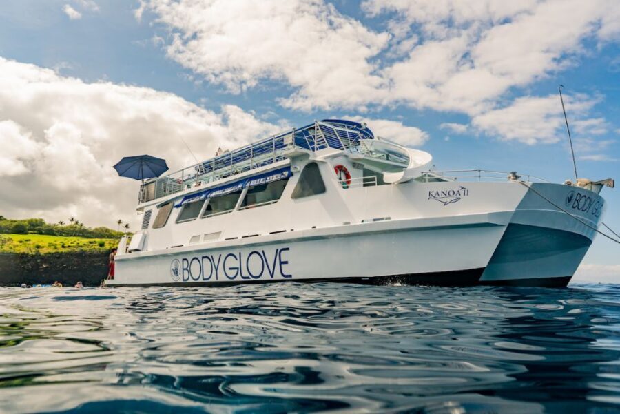 From Hawaii: Eco-Friendly Snorkeling Experience with BBQ - Price and value: where the $194 per person makes sense