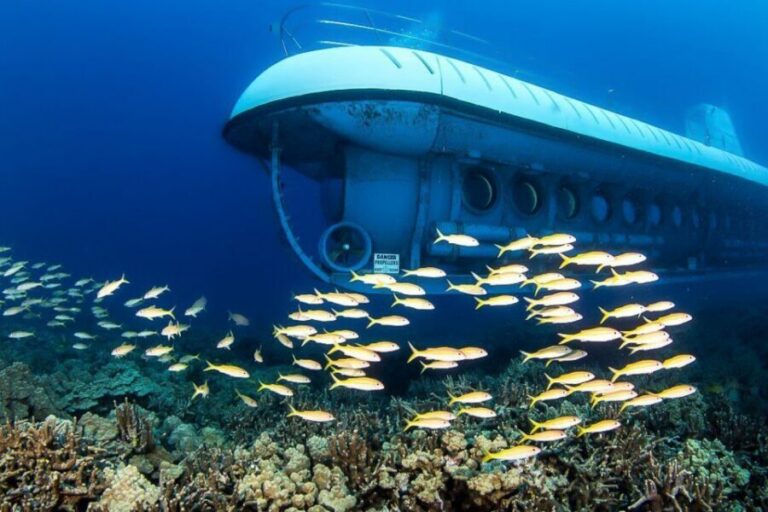 From Kona: Big Island Underwater Submarine Adventure - From King Kameameha Kona Beach Hotel to the Submarine Ladder