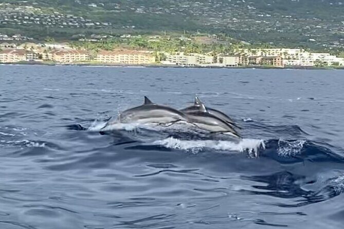 Half Day Private Cruise Tour with Snorkeling and Fishing in Kona - Meeting point and getting started without stress