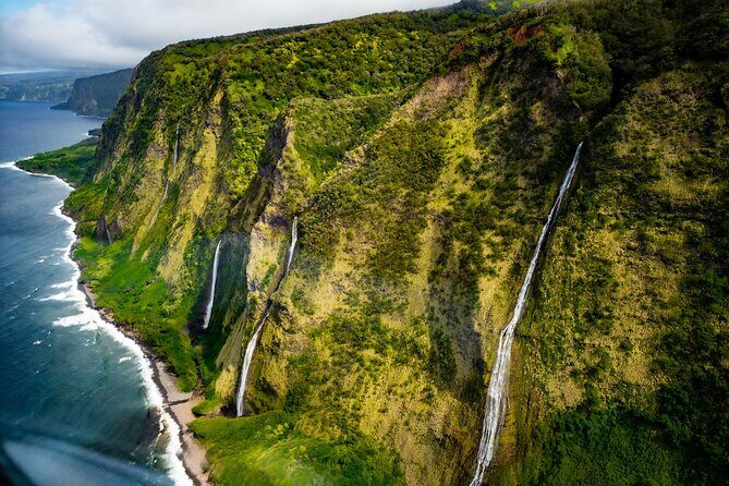 Hamakua Coast & Valleys Safari - Key things to know before you fly Hamakua Coast & Valleys