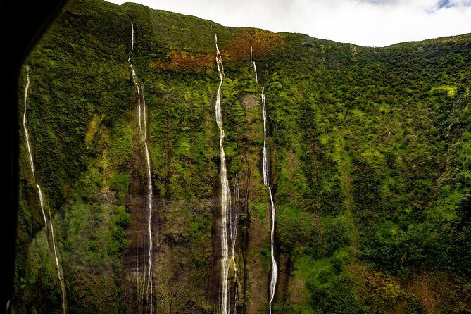 Hamakua Coast & Valleys Safari - Waimanu Valley and Hawaii’s royal legend tied to the land