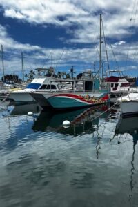 Kailua-Kona: Captain Cook Reef Catamaran Day Trip with Lunch - Captain Cook Monument: a meaningful stop that’s easy to enjoy