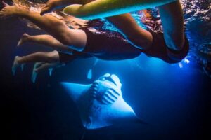 Kailua-Kona: Manta Ray Snorkeling with Hot Cocoa - The captain’s plan: why the right spot changes everything