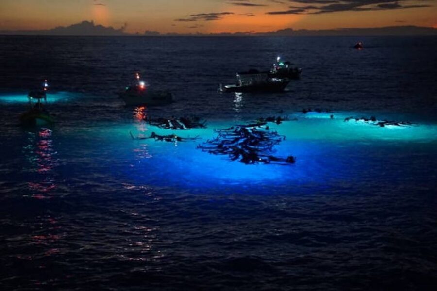 Kailua-Kona: Manta Ray Watching Nighttime Boat Trip - Catamaran at Night: The Part That Starts the Experience