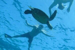 Kealakekua Bay Captain Cook Snorkel Exclusive - Sea caves and lava tubes: what you’re actually looking for