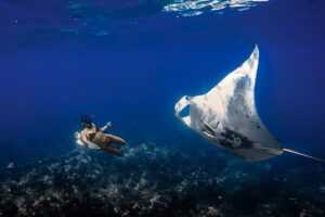 Manta Ray Night Snorkel Tour in Kailua-Kona, Big Island - Meeting up at Iruka Hawai‘i and finding the ride fast