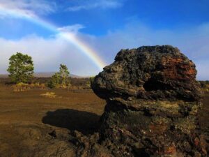 Private Tour: Hawaii Volcanoes National Park Eco Tour - Price and what you’re really paying for