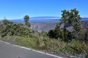 Volcano National Park Adventure From Kona - Kona coffee farm: 100% Kona tasting with real access