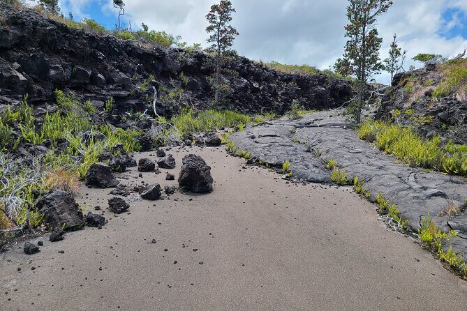 Volcanoes National Park and Hilo Private Tour - Rainbow Falls in 15 minutes: the quick win for photos and a leg stretch