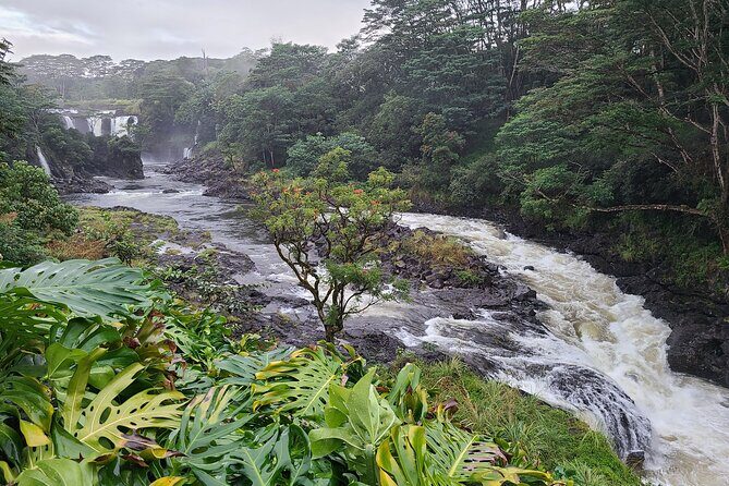 Volcanoes National Park and Hilo Private Tour - Group size: why up to 4 guests is a sweet spot