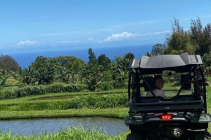 Waipi’o on Horseback: Mountain Ocean Views Working Cattle Ranch - The ride itself: ironwood canopies and a calm, well-paced trail