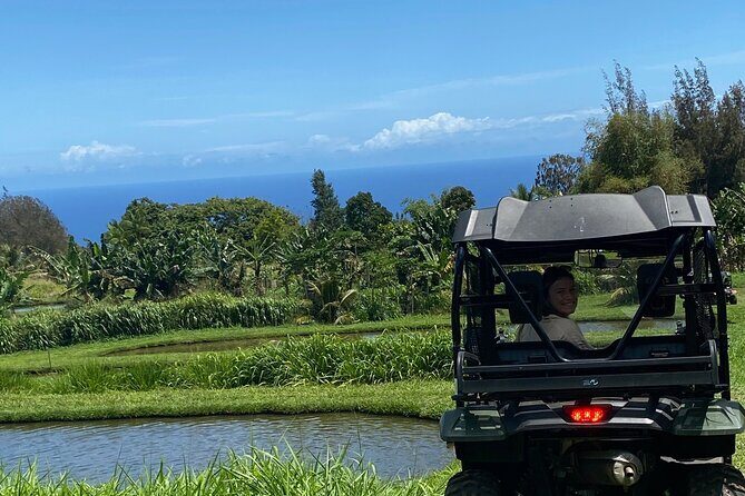 Waipi’o on Horseback: Mountain Ocean Views Working Cattle Ranch - The ride itself: ironwood canopies and a calm, well-paced trail